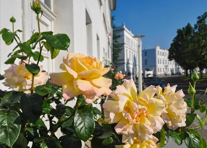 Fuerstlich Wohnen Am Circus Mit Blick Zur Granitz بوتبوس